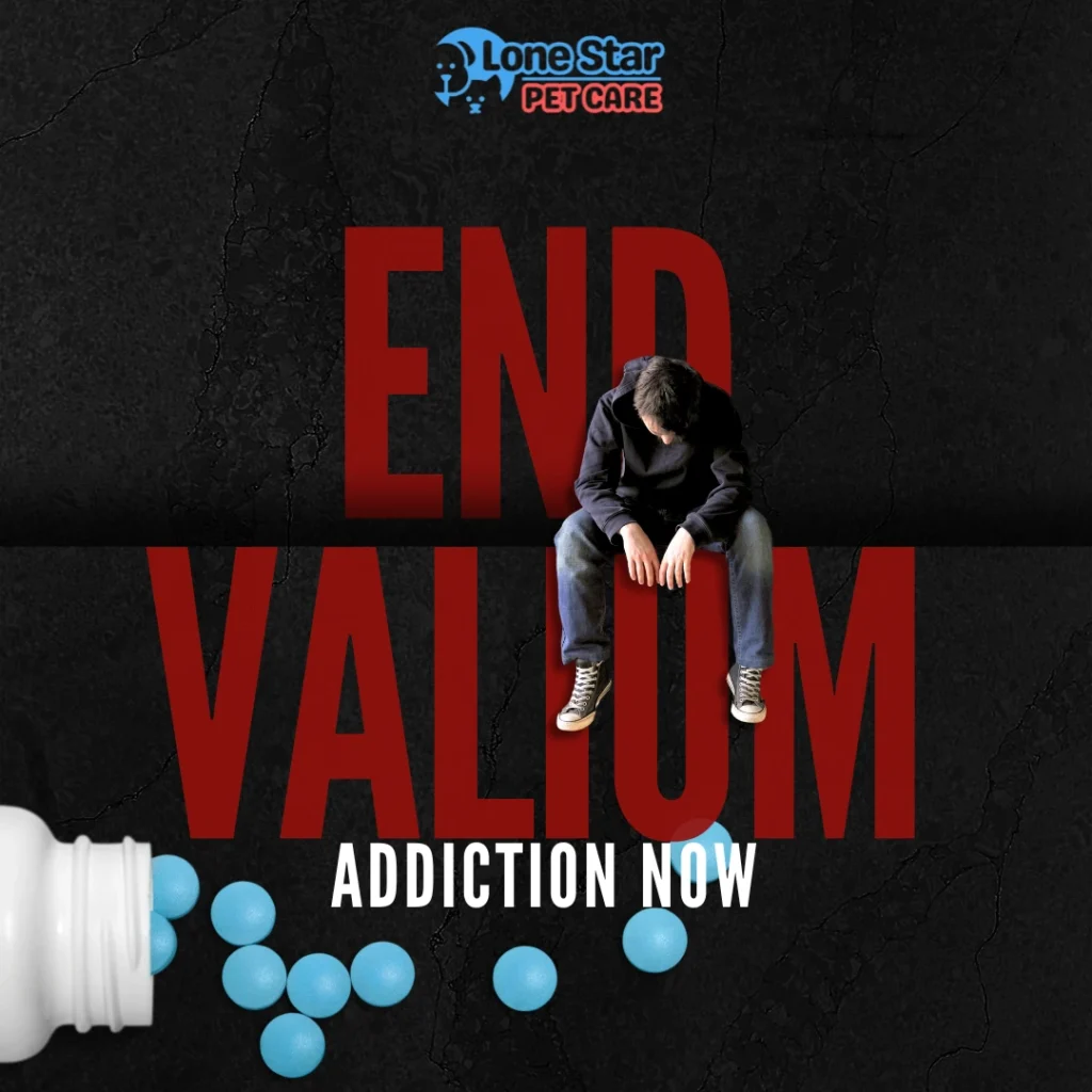 Valium Use for Anxiety - End Valium Addiction Now